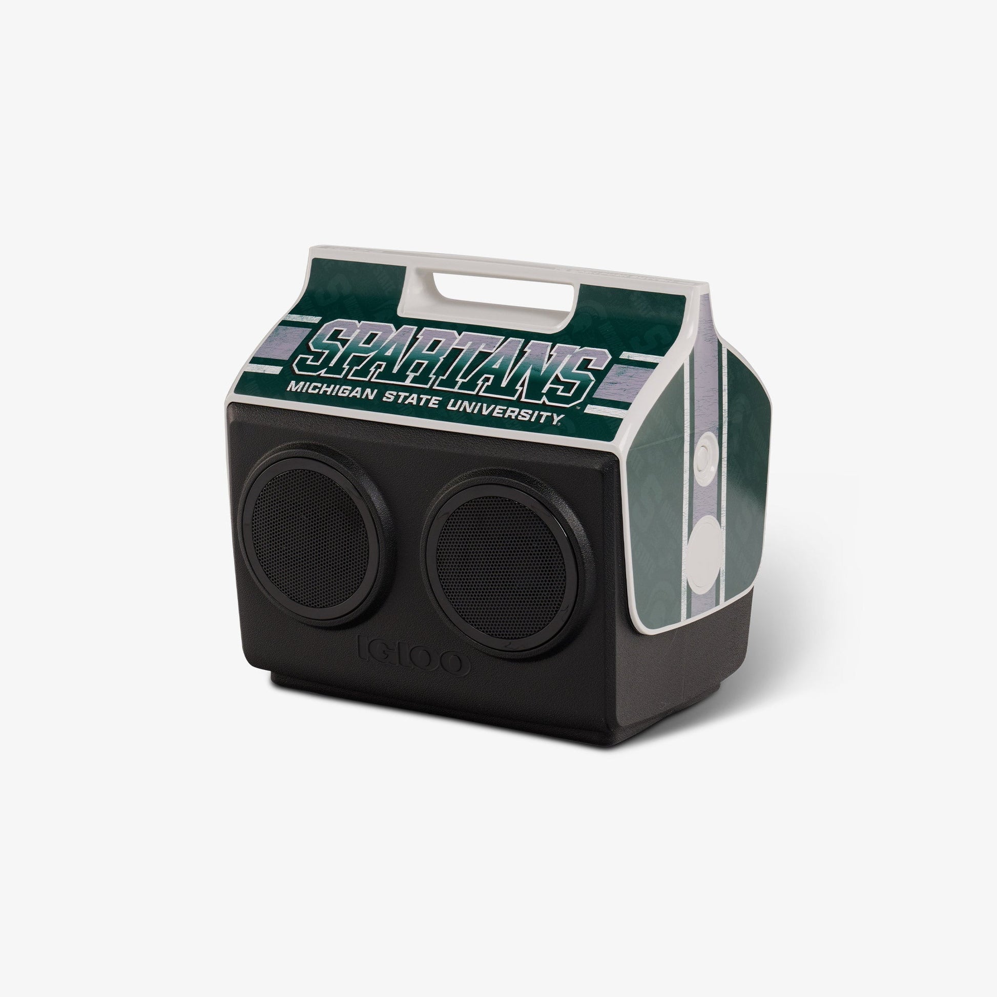 michigan-state-university-kooltunes-q3 00027730-H1.jpg