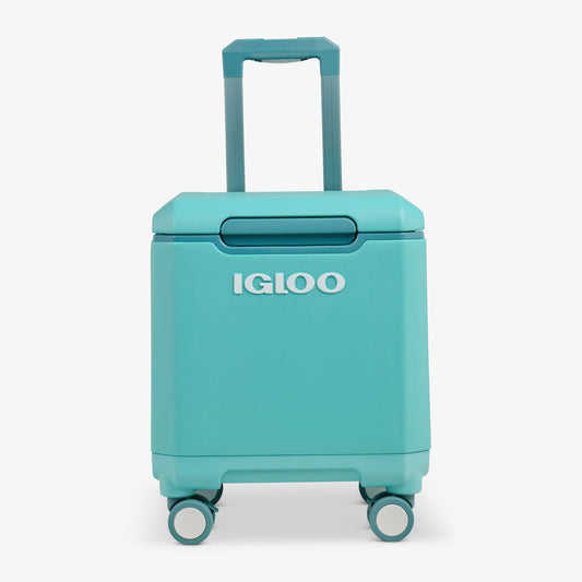 tag-along-too-spinner-cooler-q1 00033184-F1_b51e854c-365a-4272-b384-7c3dd41ac0b8.jpg