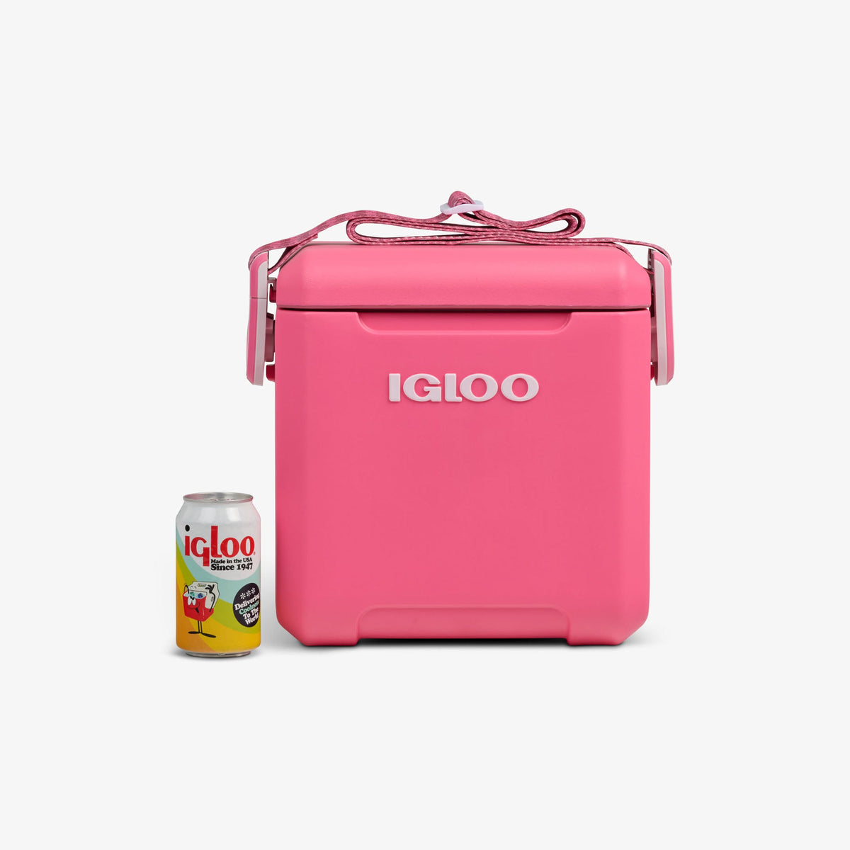 tag-along-too-remix-cooler-w8 00033199-P_861a5cd2-f15c-4217-a471-e33cc3890d9e.jpg