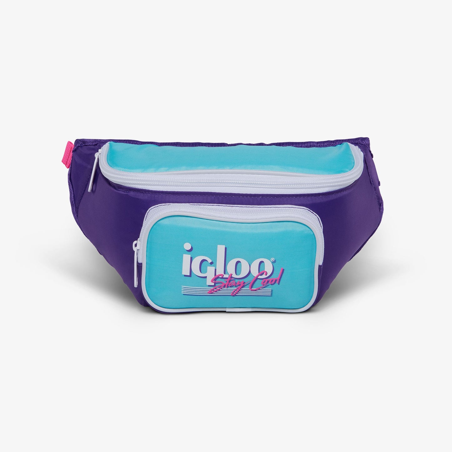 retro-fanny-pack-l2 00066056-F.jpg