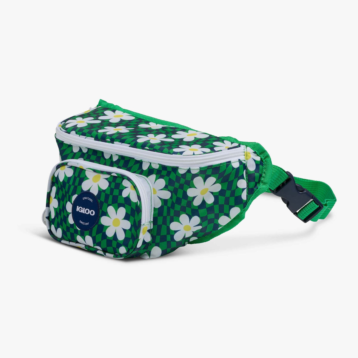 retro-fanny-pack-l2 00067206-H1.jpg