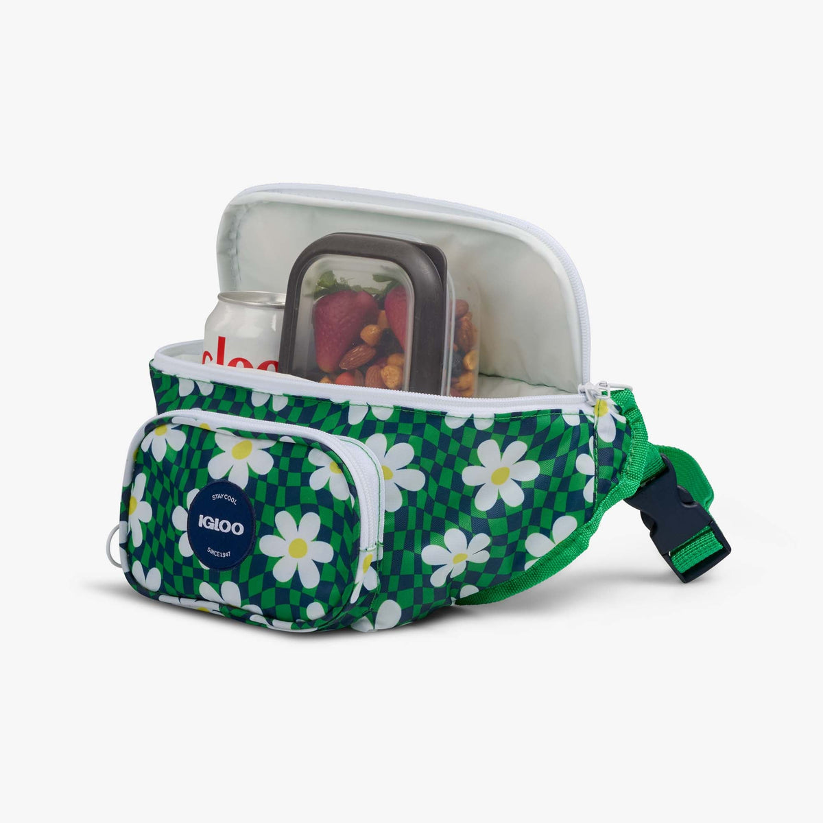 retro-fanny-pack-l2 00067206-P1.jpg